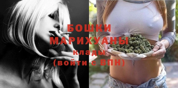 амф Аркадак