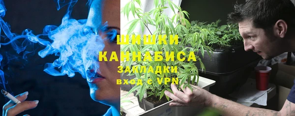 гидра Арсеньев